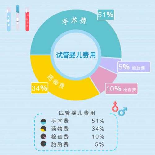 国内试管代怀的花费(国内试管代怀：花费分析及成本控制策略)