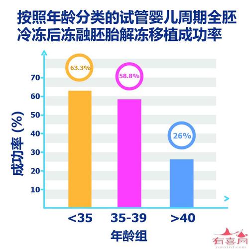 国内试管代怀哪里成功率高啊-国内试管代怀哪里成功率高?