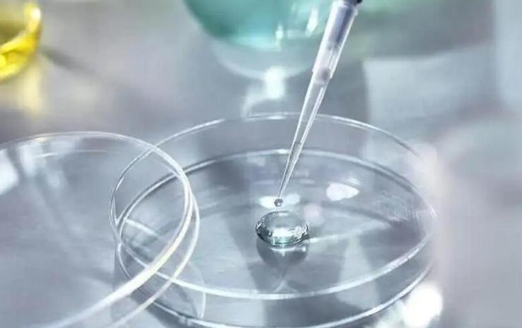 大学生试管代怀-大学生试管代怀:新生命的希望