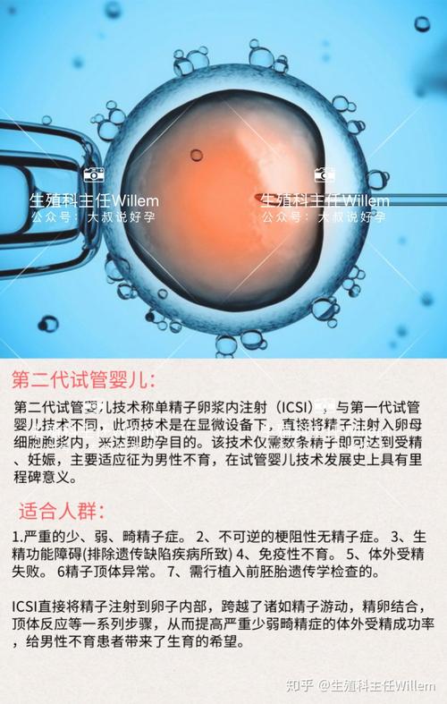 国内试管代怀哪里最好(国内试管代怀哪里最好?)